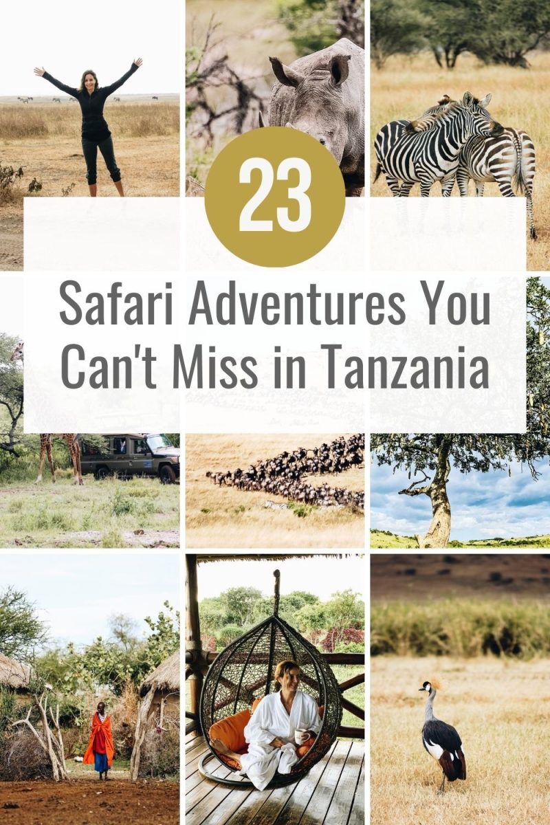23 Safari Adventures You Can't Miss in Tanzania