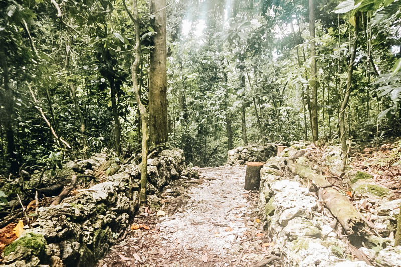 The hike to Jellyfish Lake in Palau