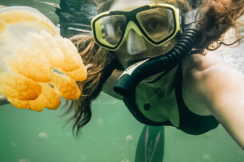 Annette White swimming in Jellyfish Lake in Palau