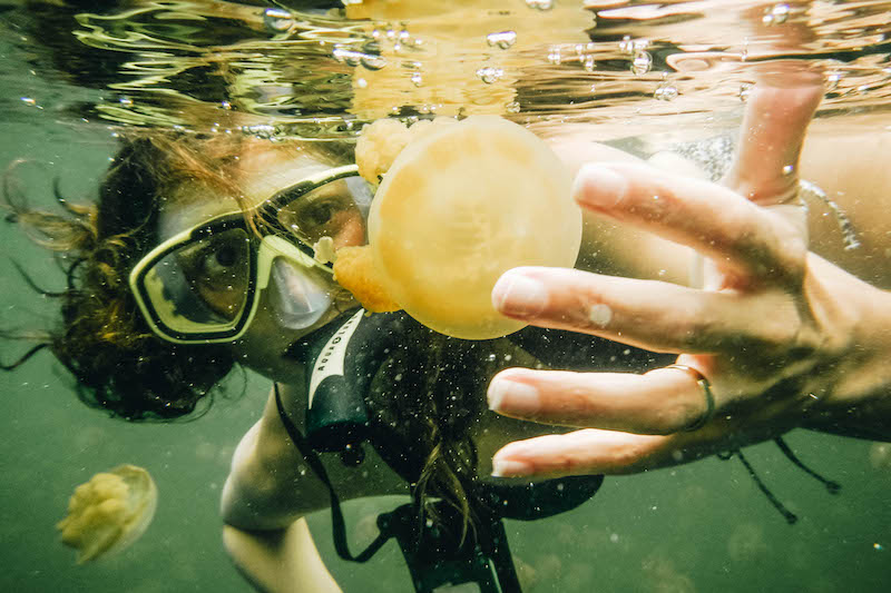 Annette White swimming in Jellyfish Lake in Palau