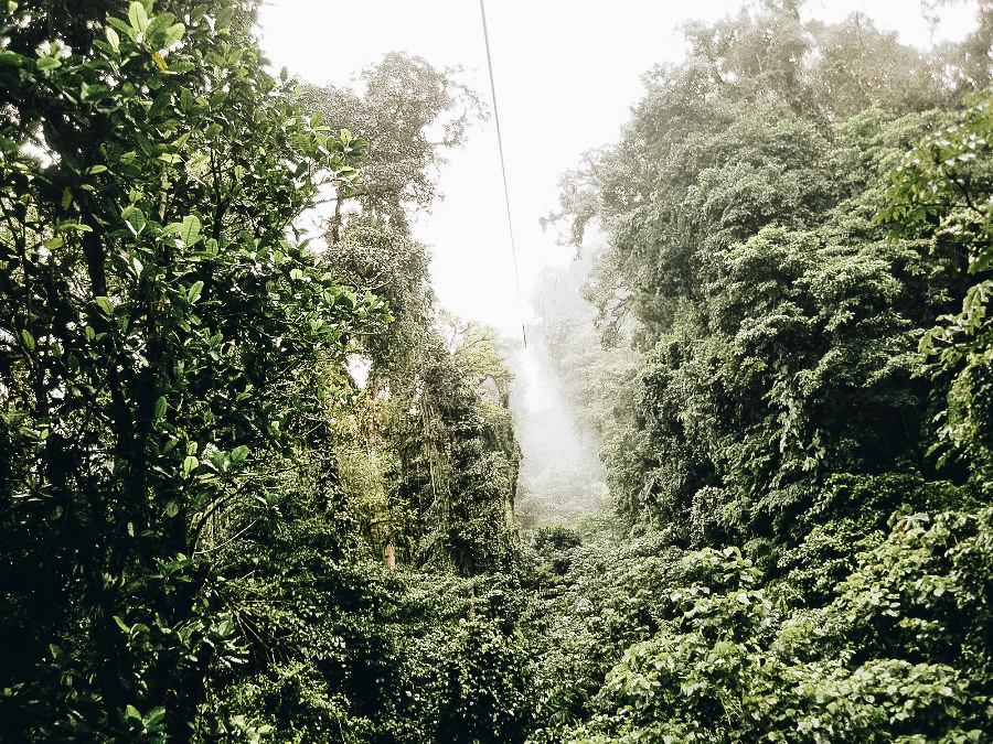 Ecoglide Arenal Park, La Fortuna