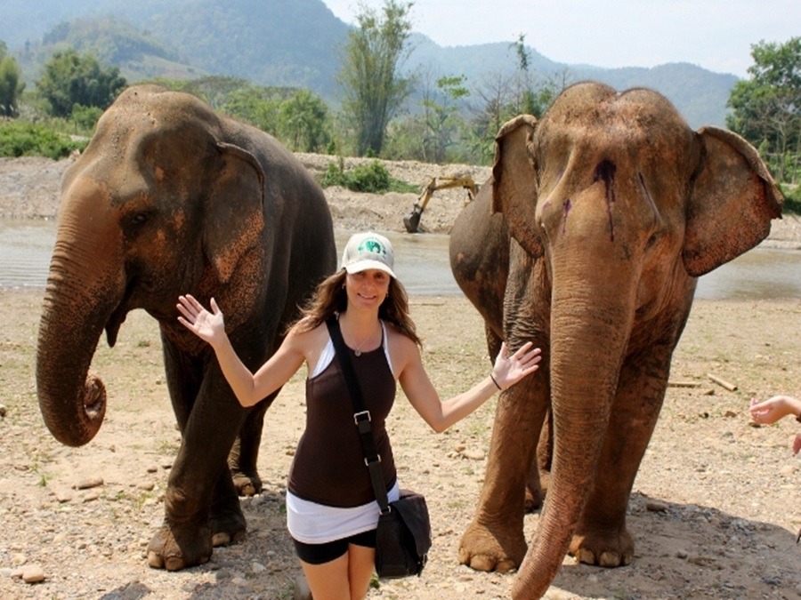Annette White: Thailand Elephant Sanctuary: 5 of the Best Rescues in or Near Chiang Mai