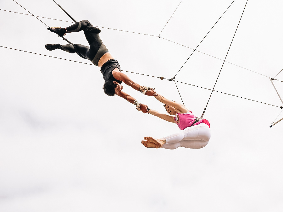 Flying Trapeze