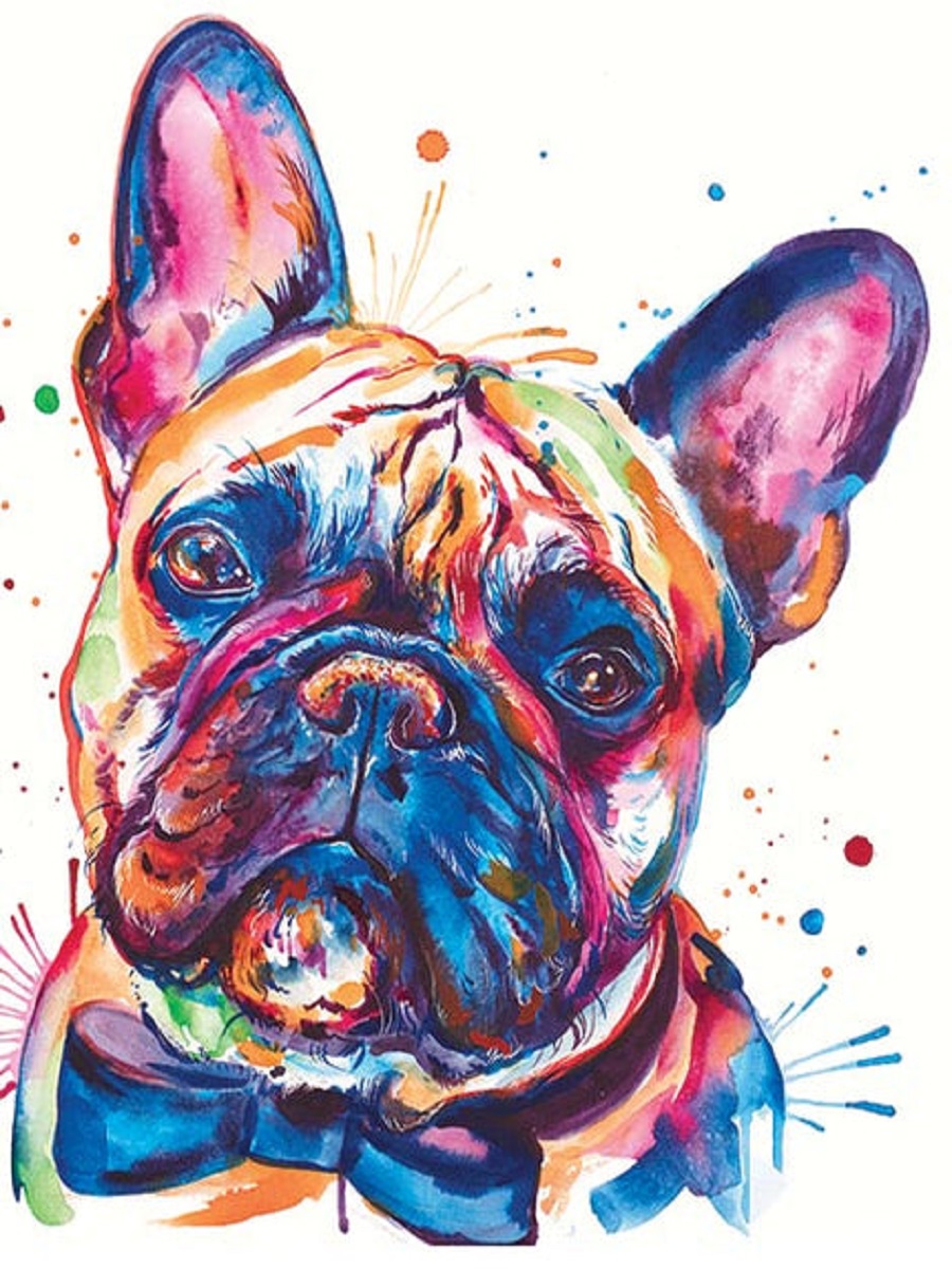 French Bulldog