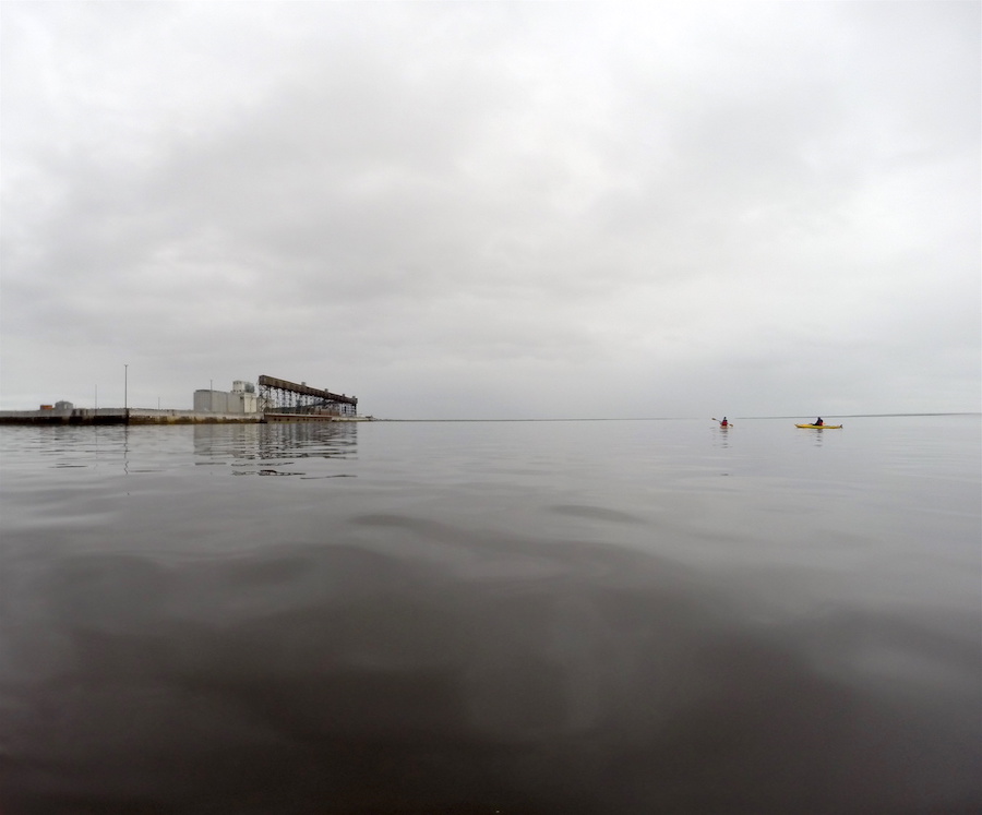 Kayaking with Beluga Whales in Churchill, Manitoba, Canada