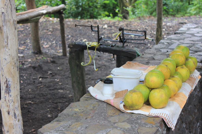 oranges in Guatemala