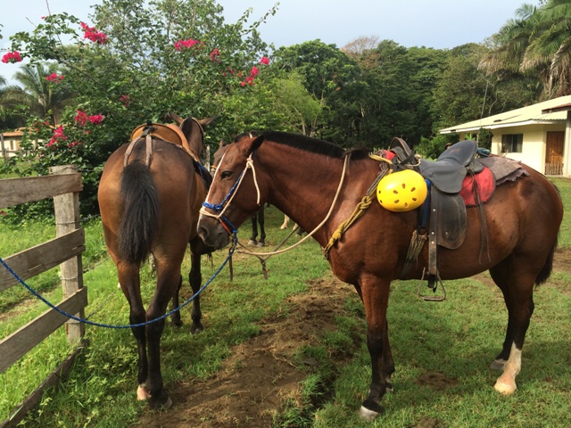 Horseback Riding in Costa Rica