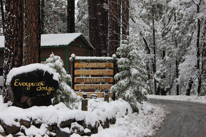 Christmas at Evergreen Lodge in Yosemite