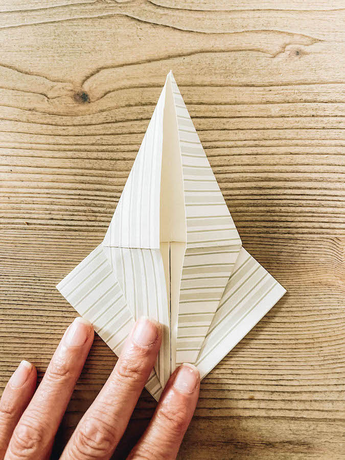 Folding a Paper Crane