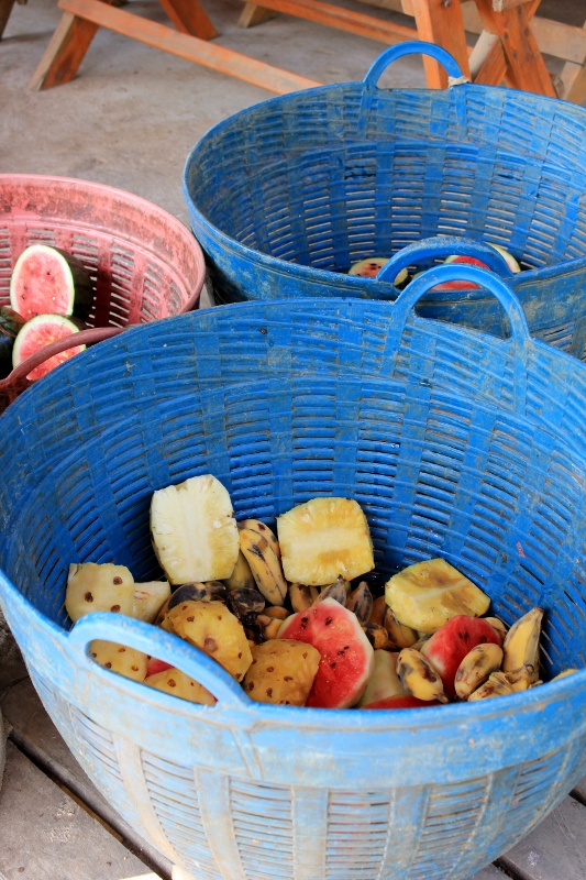 basket of fruit for the elephants