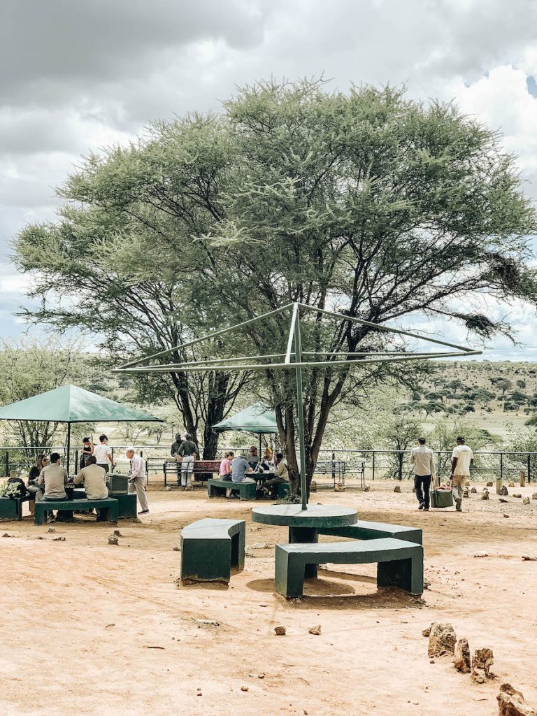 Lunch at Tarangire National Park in Tanzania