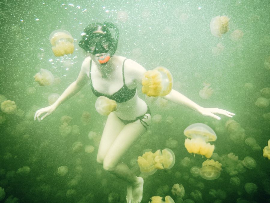 Annette snorkeling on Palau Jellyfish Lake
