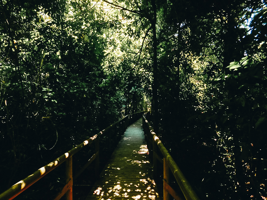 Manuel Antonio National Park, Puntarenas