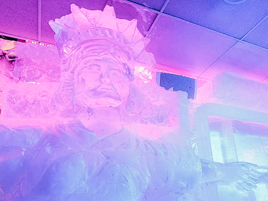 Minus 5 Ice Bar