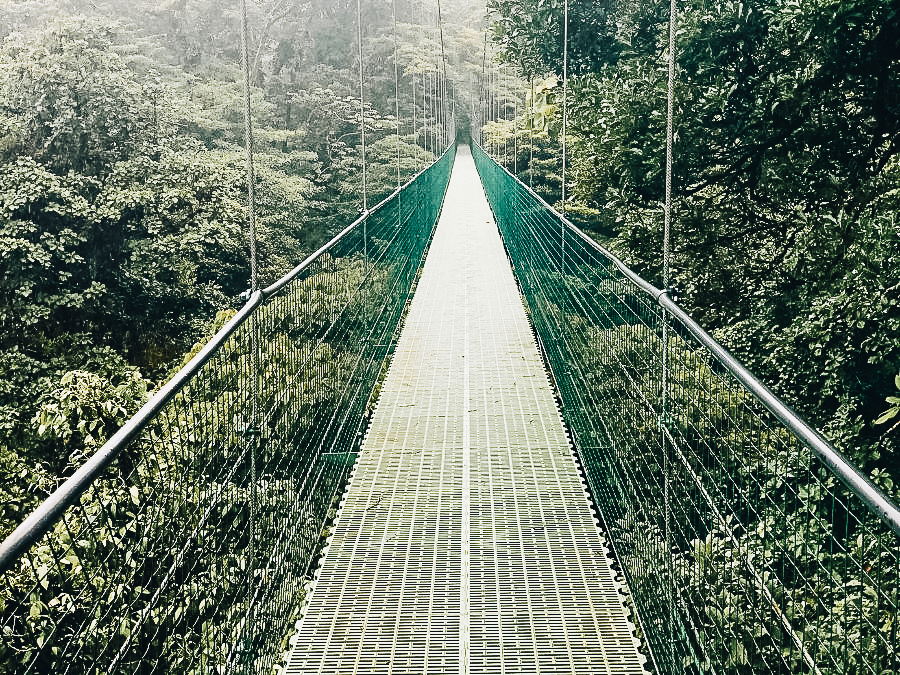 Monteverde Cloud Forest, Puntarenas