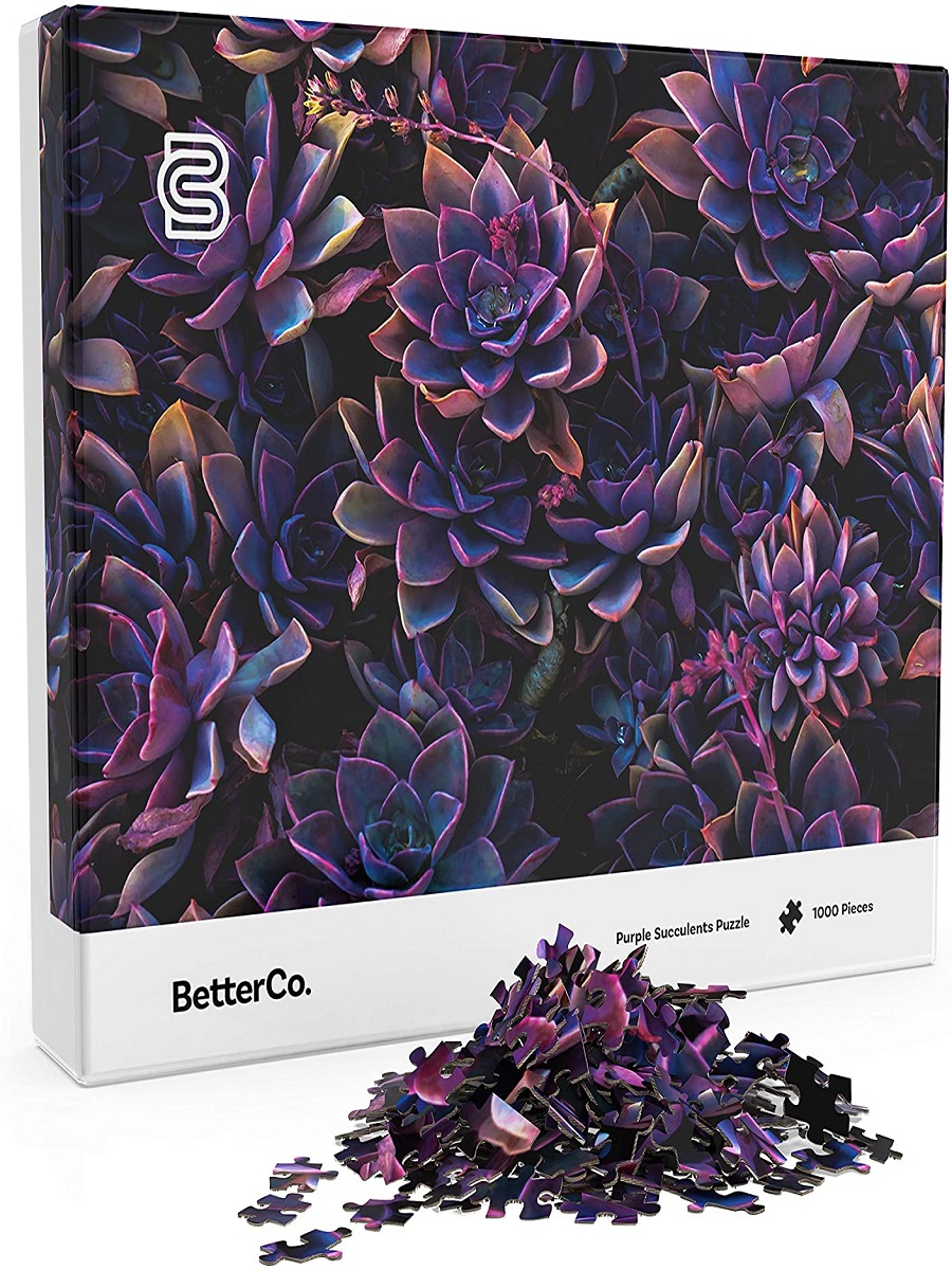 Purple Succulents