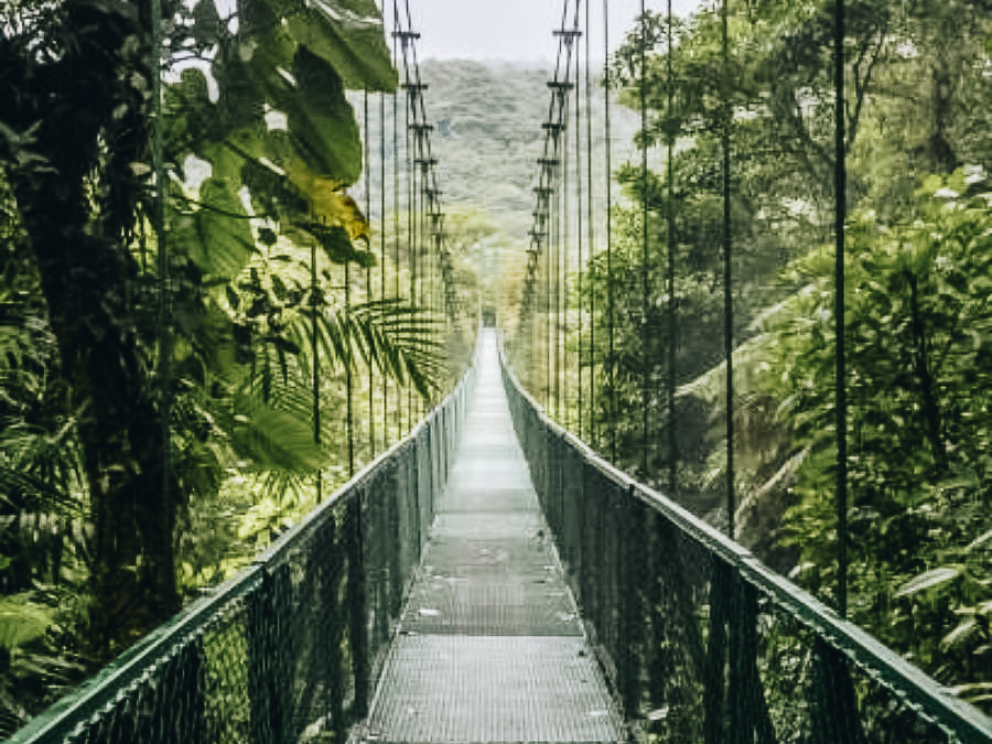 Selvatura Park, Guanacaste