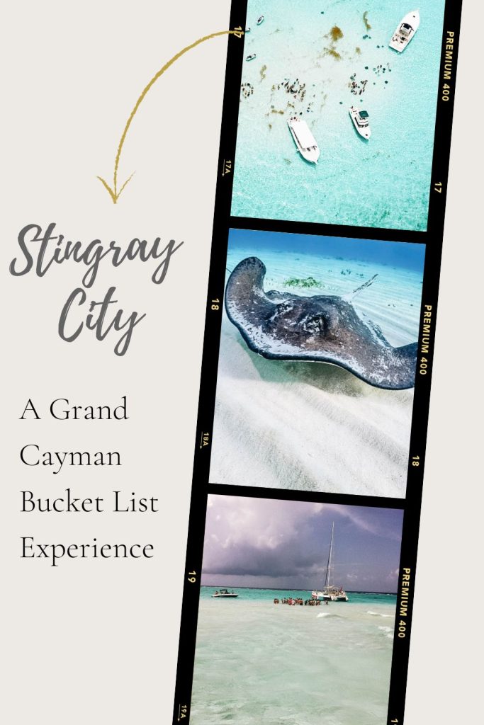 Stingray City in Grand Cayman Islands