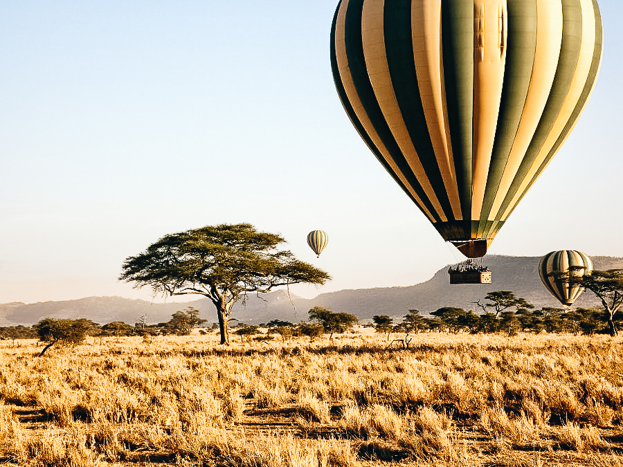 Take a Balloon Safari