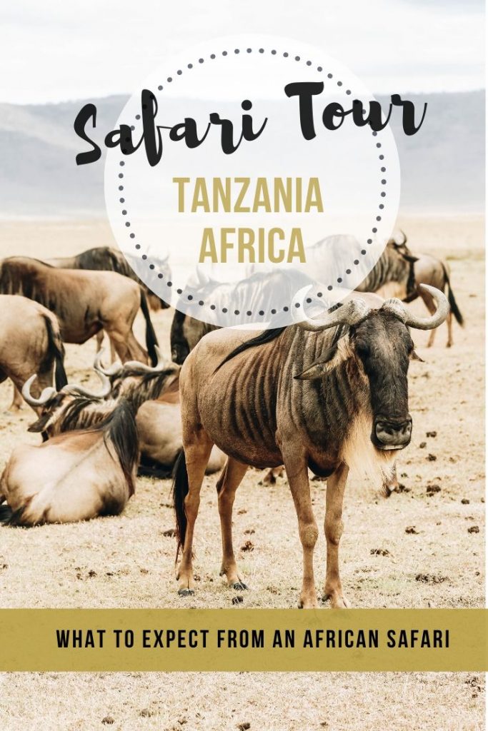 African Safari in Tanzania: The Ultimate Adventure Itinerary and Tour