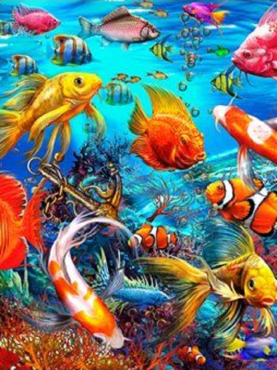 Tropical Fish