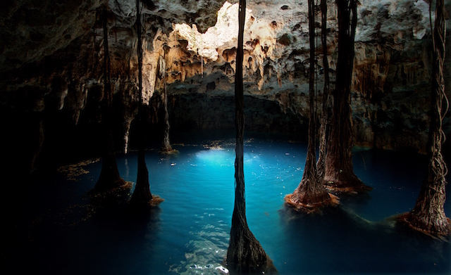 A Mexican Cenote in Cancun