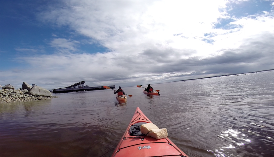 Kayaking with Beluga Whales in Churchill, Manitoba, Canada